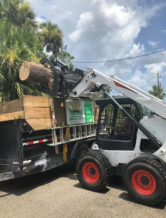 Tree Kings Florida bobcat loading a cut log onto a company trailer